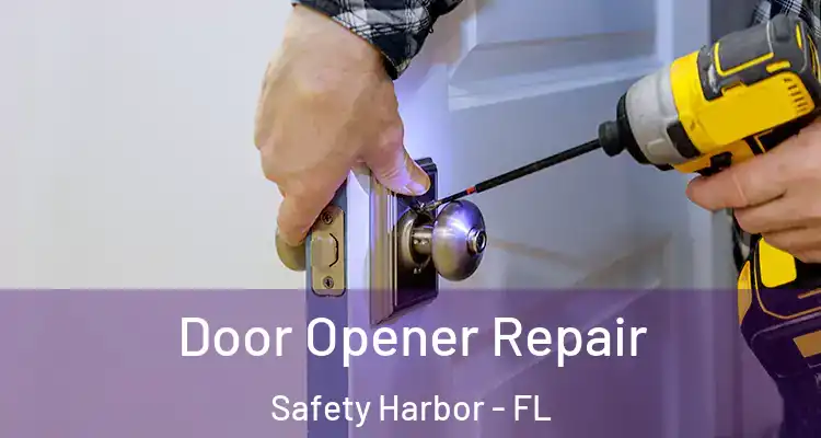  Door Opener Repair Safety Harbor - FL